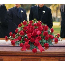 Red Carnation Juvenile Casket Spray